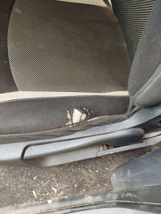 Fotele    osobowy Renault Kangoo