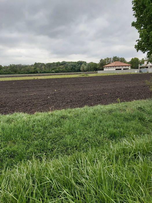 Działka  zagrodowa.