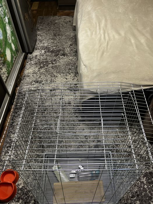 Клітка для гризунів