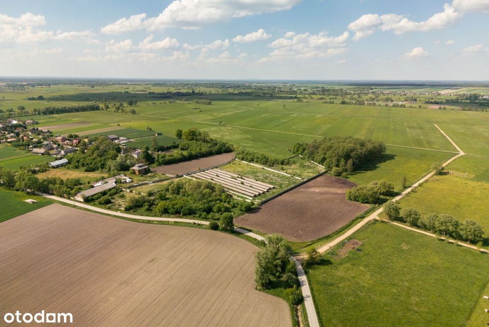 9,25 ha terenu inwestycyjnego z zabudowaniami - Widok 4