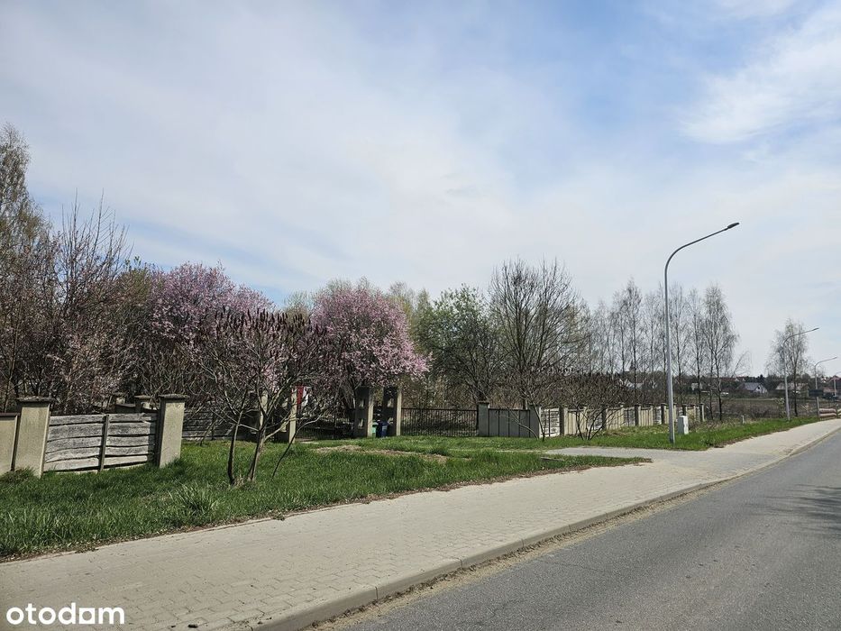 Sprzedam działkę budowlaną w Wilkszynie - Widok 6