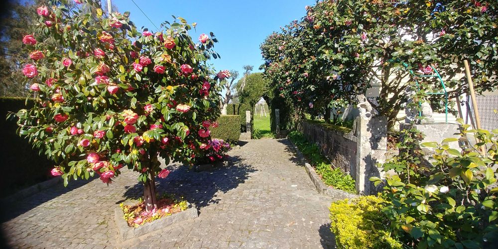 Moradia T4 Isolada com 11.000 m² de Terreno em Mansores, Arouca