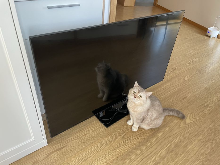 Samsung TV 55 Bom estado