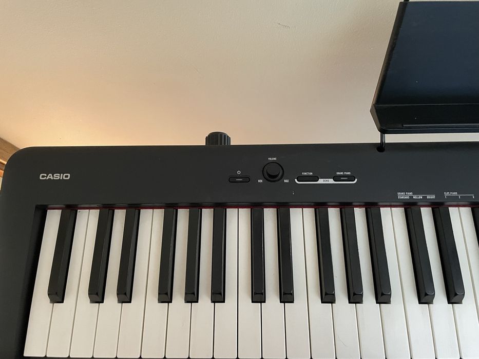 Teclado Casio CDP-S100