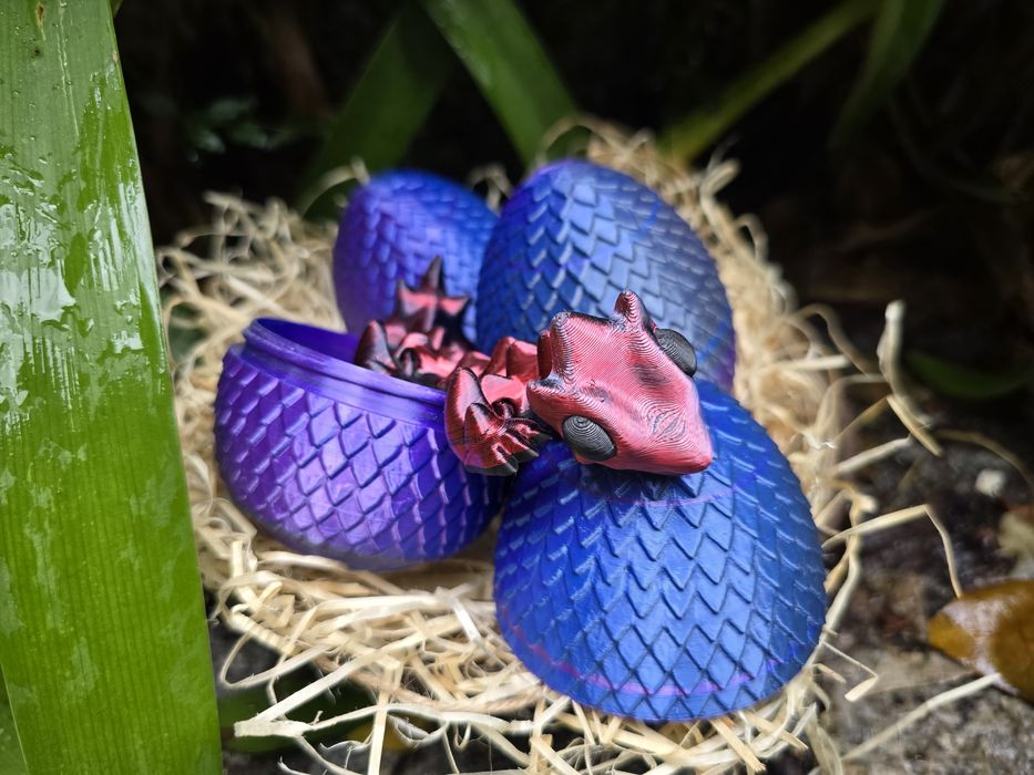 Bebé Dragão no Ovo