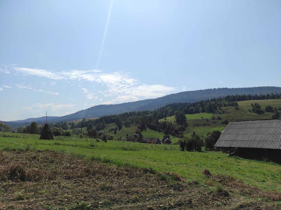 Земельна ділянка під забудову у Карпатах (с.Мита Львівська обл.)