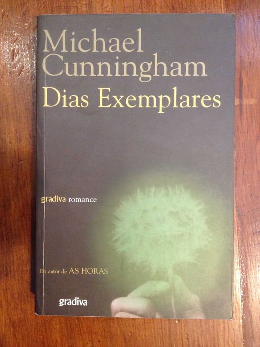 Michael Cunningham - Dias exemplares