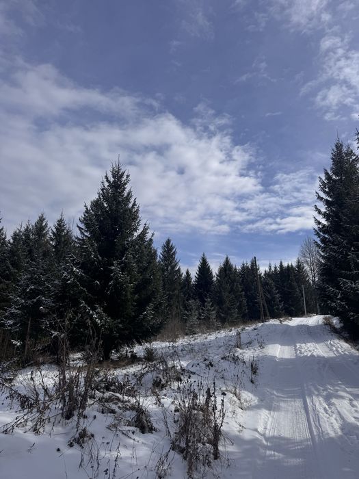 Продам ділянку в Карпатах з доїздом легковим авто с. Ільці