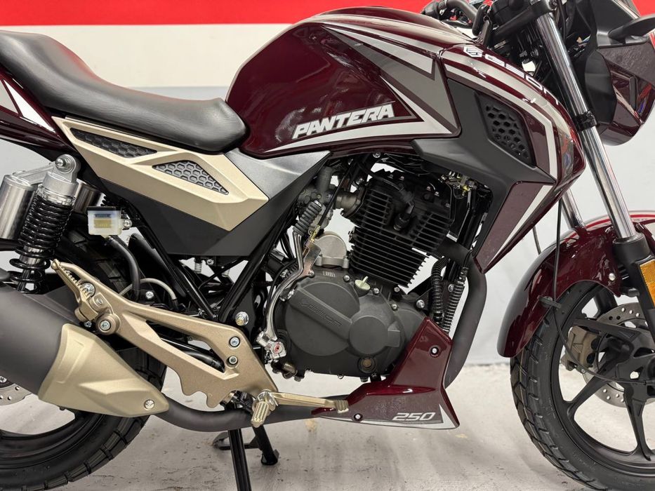 Мотоцикл GEON Pantera 250