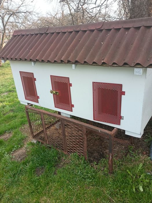 Klatka dla królików