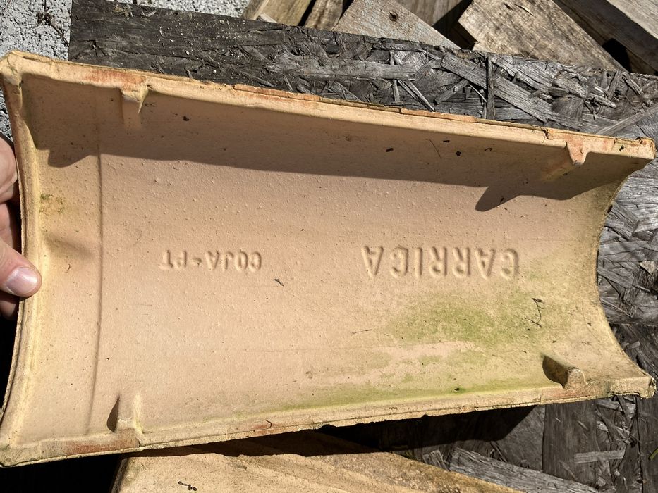 Patas de Leao + telhoes Carriça