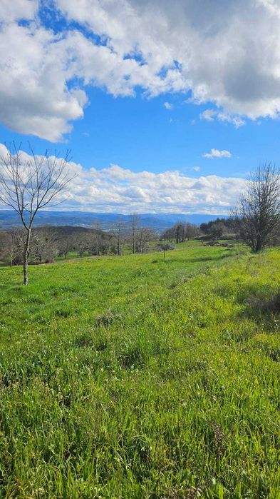 Terreno Frechão 2.2ha