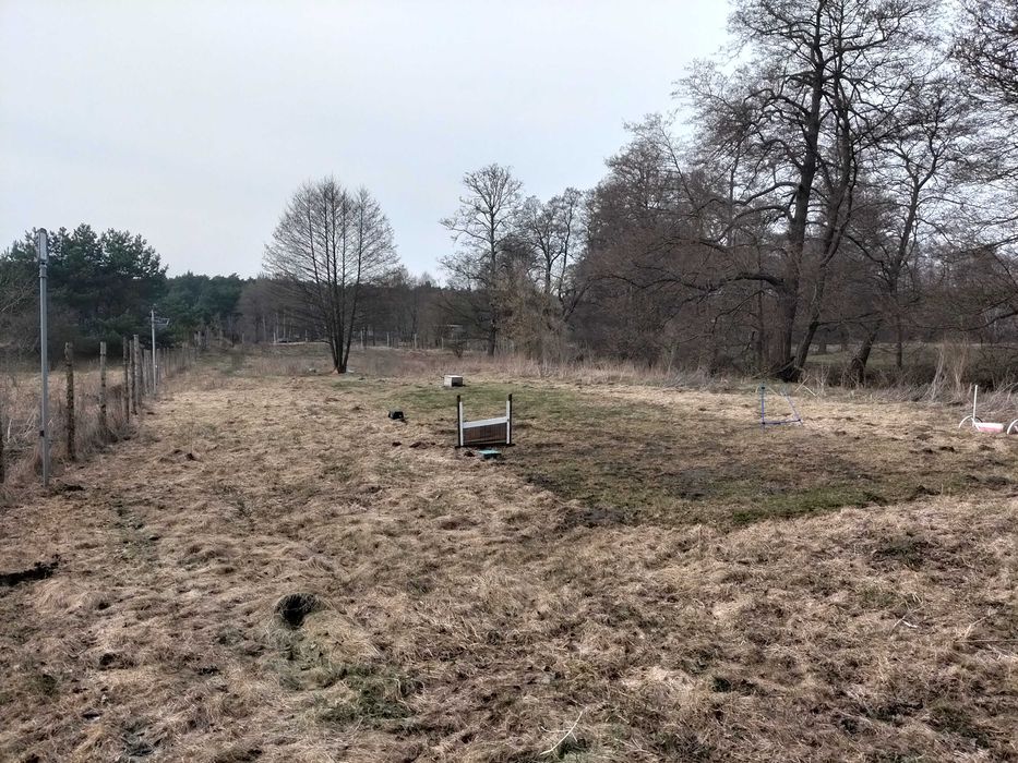 Do wynajęcia plac, łąka ok 2000 m²