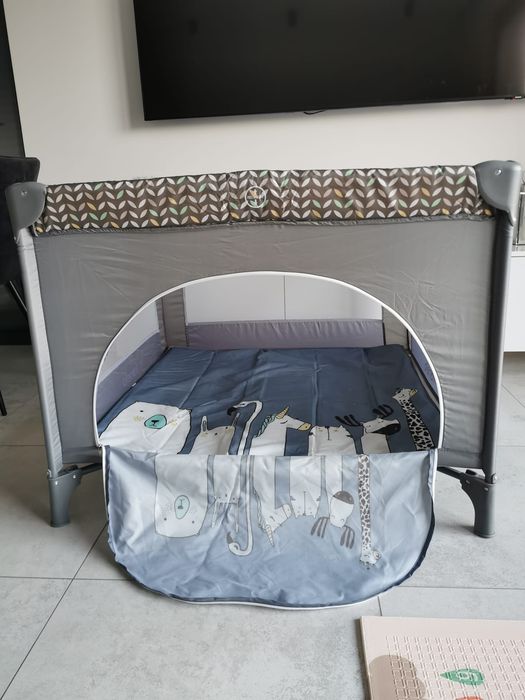 Kojec lionelo 100x100