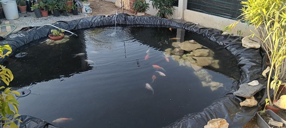 Aquário para peixes