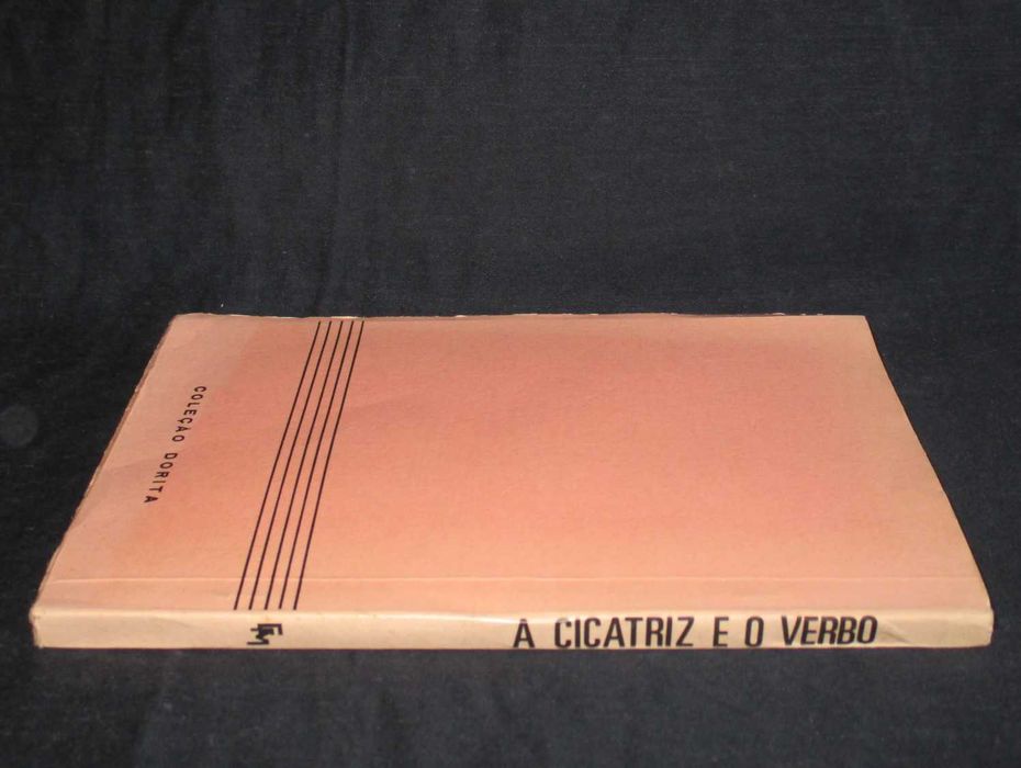 Livro A Cicatriz e o Verbo Analise da obra Romanesca Augusto Abelaira