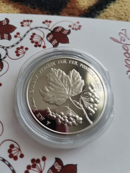 Ой у лузі червона калина