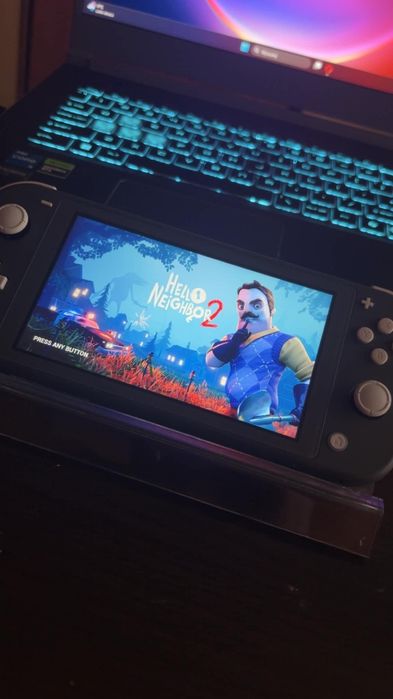 Nintendo switch little