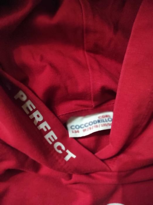 Bluza z kapturem dla dziewczynki coccordillo