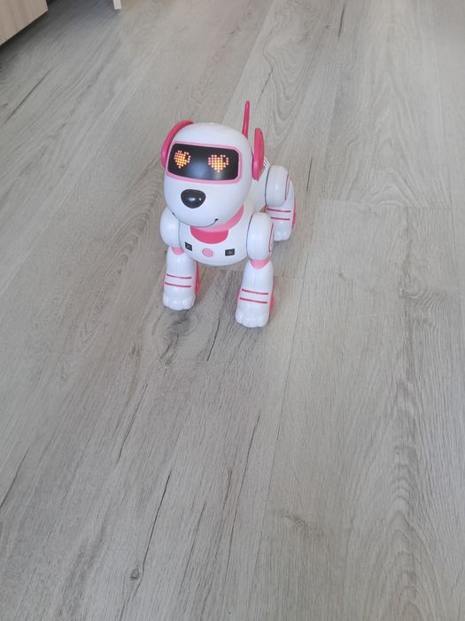 Pies robot dla dzieci