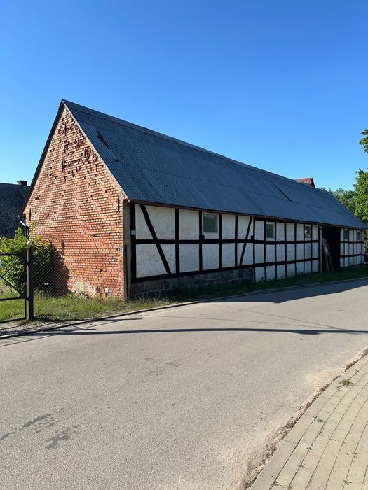 Zdjęcie 3