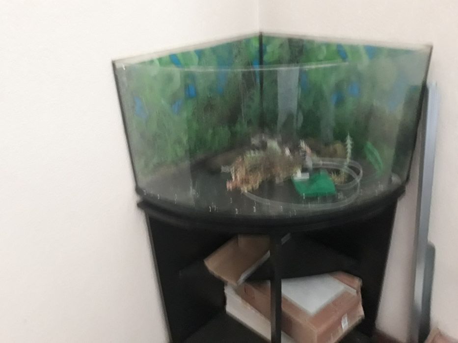 Sprzedam akwaria z szafkami i wyposazeniem