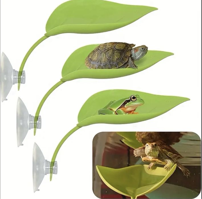 Аксесуари та обладнання для тераріуму