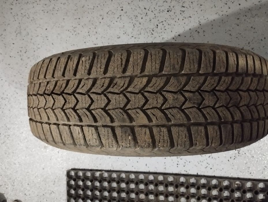 Opony zimowe 15'' Dębica Frigo