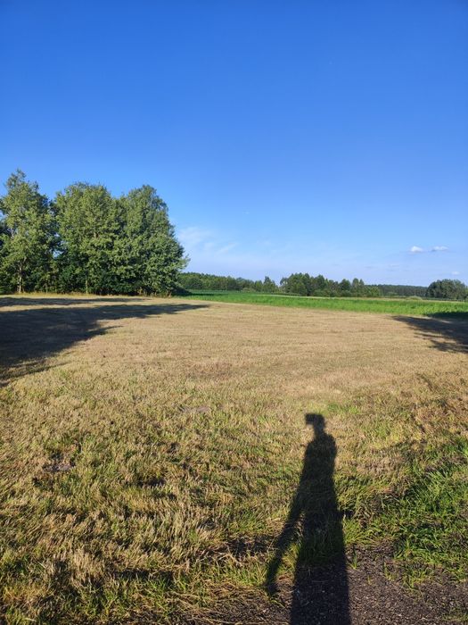 Działka z warunkami zabudowy 38 ary