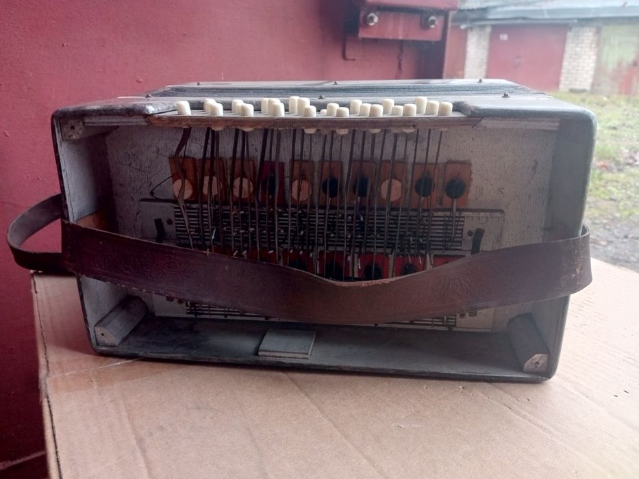 Гармонь гармошка Весна или Украина