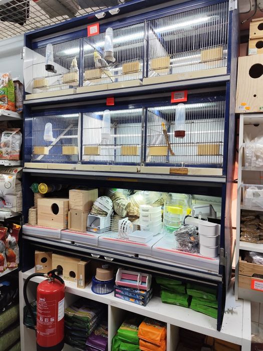 Expositor aves 6 gaiolas