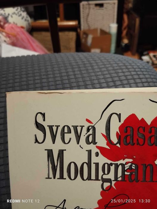 A Cor da Paixão - Sveva Casati Modignani