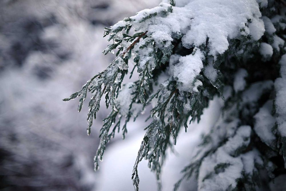 Мануальна світлосильна п’ятидесятка з байонетом FD Canon 50/1,4 FD SSC