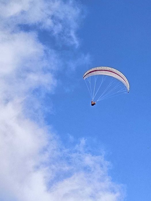 Parapente - Asa Astral 6 da Swing, size: M