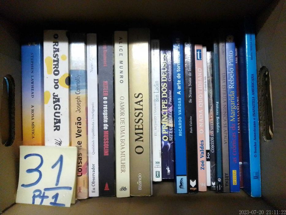 LOTE 31 - Livros Diversos - VENDIDOS EM SEPARADO  - Vários Preços