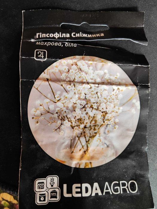 Гіпсофіла Сніжинка. Ціна за 3 штуки