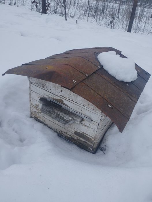 Для Вашої пасіки.