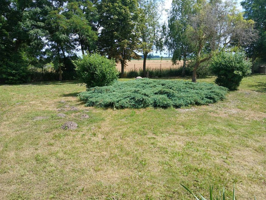 Zdjęcie 7