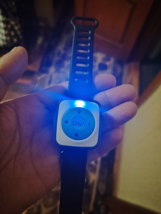 Робот собака CHIP