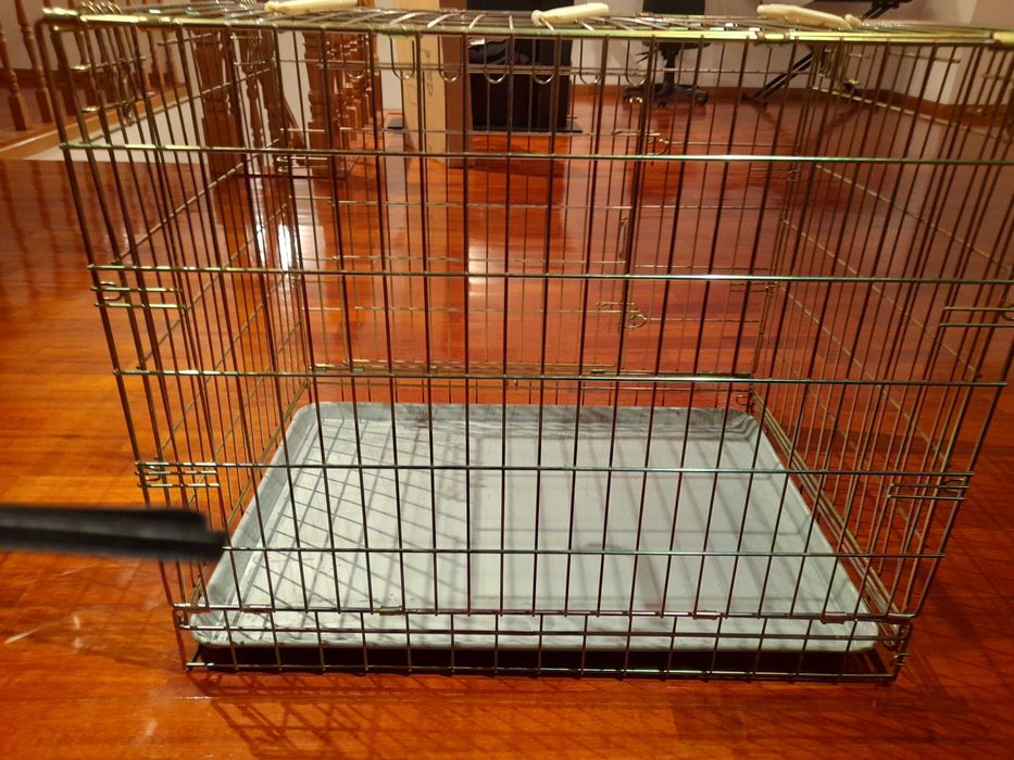 Parque , jaula galvanizada cão