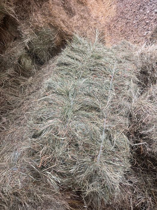 Продам сіно/солому