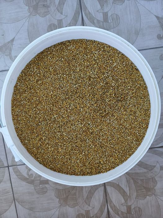 Пилок бджолиний 2025