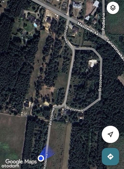 Działka budowlana 1026 m² - Puszcza Mariańska - MPZP - PGE w działce. - Widok 5