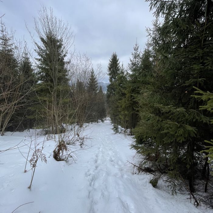 Продаж земельної ділянки в Славську , 38 сот, власник