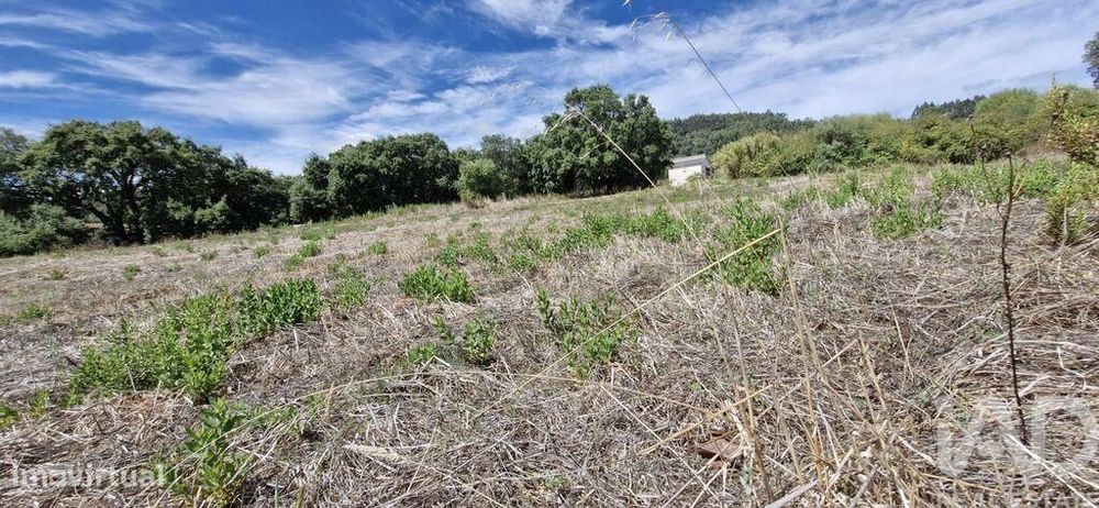 Terreno em Alcobertas de 1600,00 m2