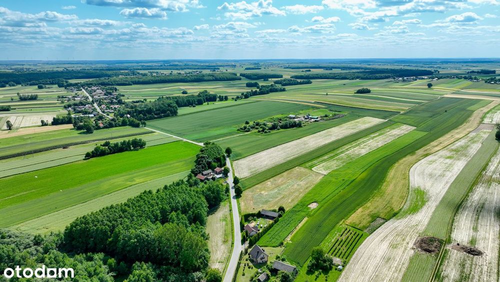 SUPER cena! MPZP, cisza, las – idealne pod Twój wymarzony dom => FILM - Widok 3