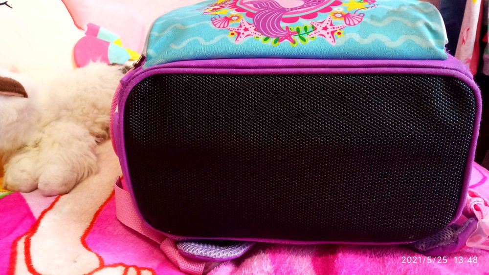 Каркасный школьный рюкзак Smart для начальной школы, для девочки