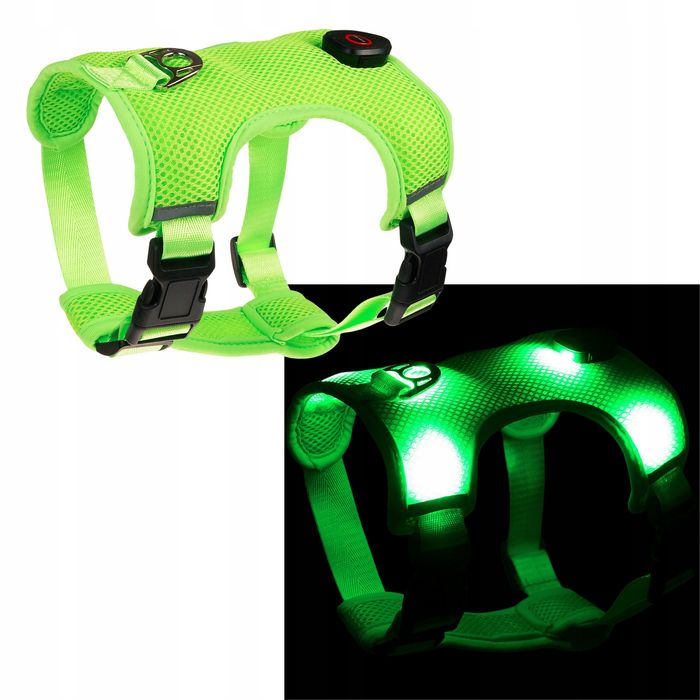 LED Szelki dla Psa Guard S - Bezuciskowe, Odblaskowe, USB, Zielone
