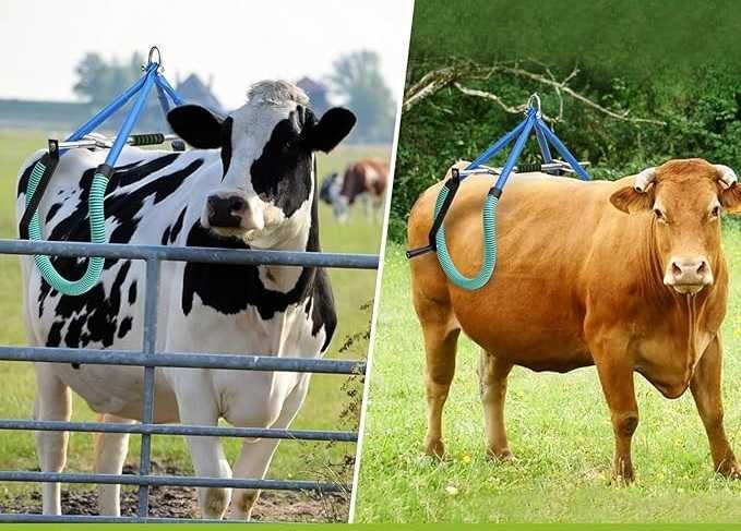 Urządzenie do podnoszenia krów do 900 kg.Podnośnik Biodrowy