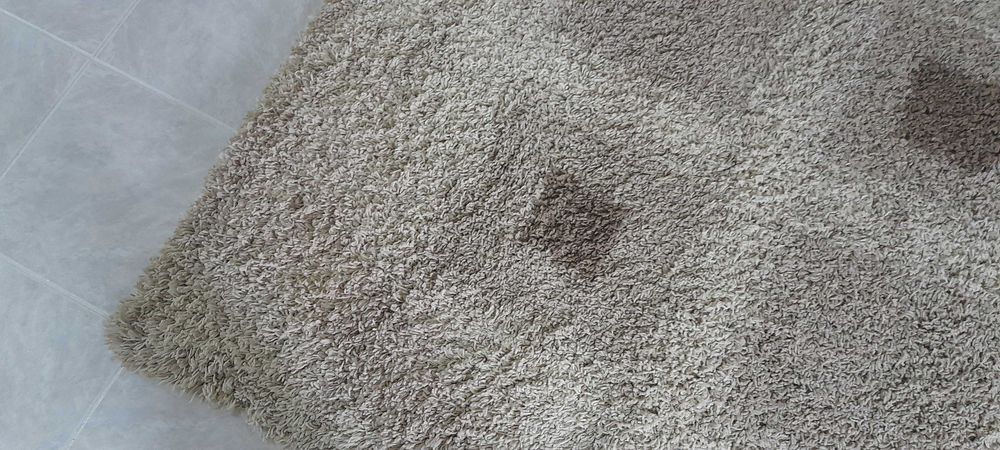 Carpete em bom estado.